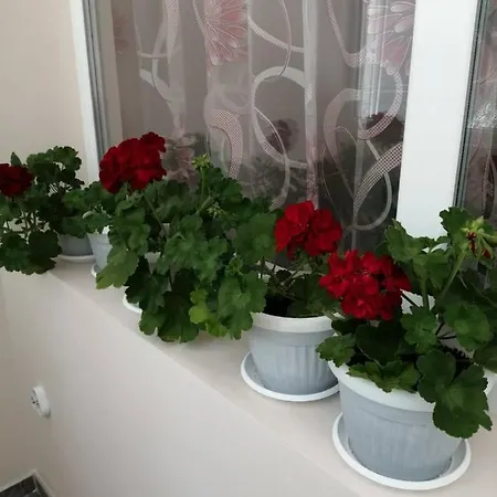 в сърцето на очаква прекрасен и просторен Apartment Warna