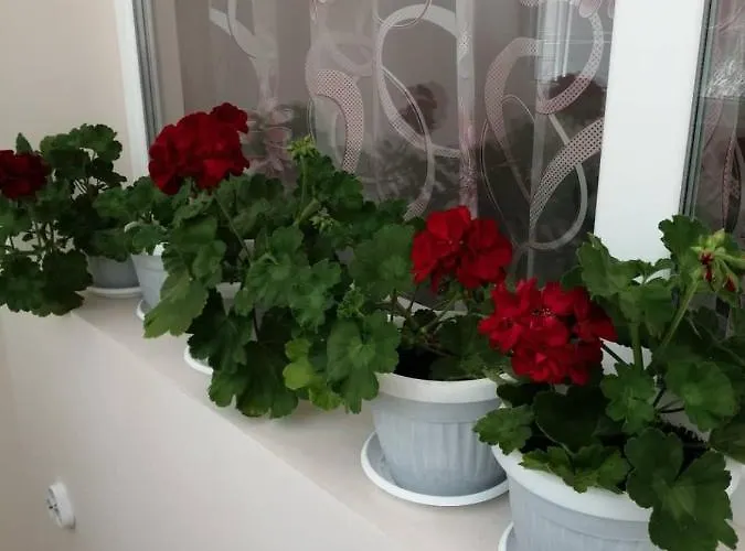 в сърцето на очаква прекрасен и просторен Apartment Warna